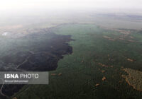 تداوم آتش‌سوزی‌ها در بخش عراقی هورالعظیم در ماه‌های آینده