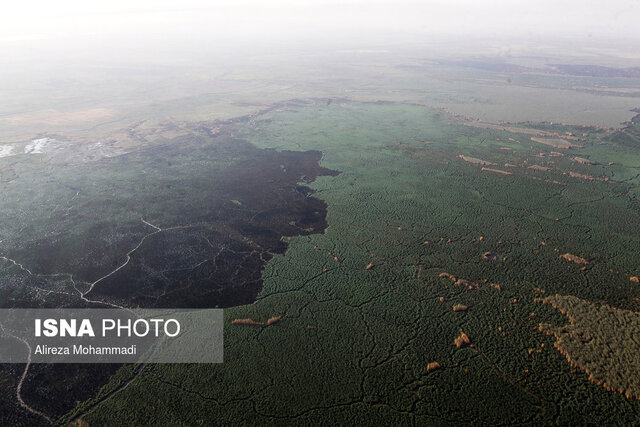 تداوم آتشسوزیها در بخش عراقی هورالعظیم در ماههای آینده